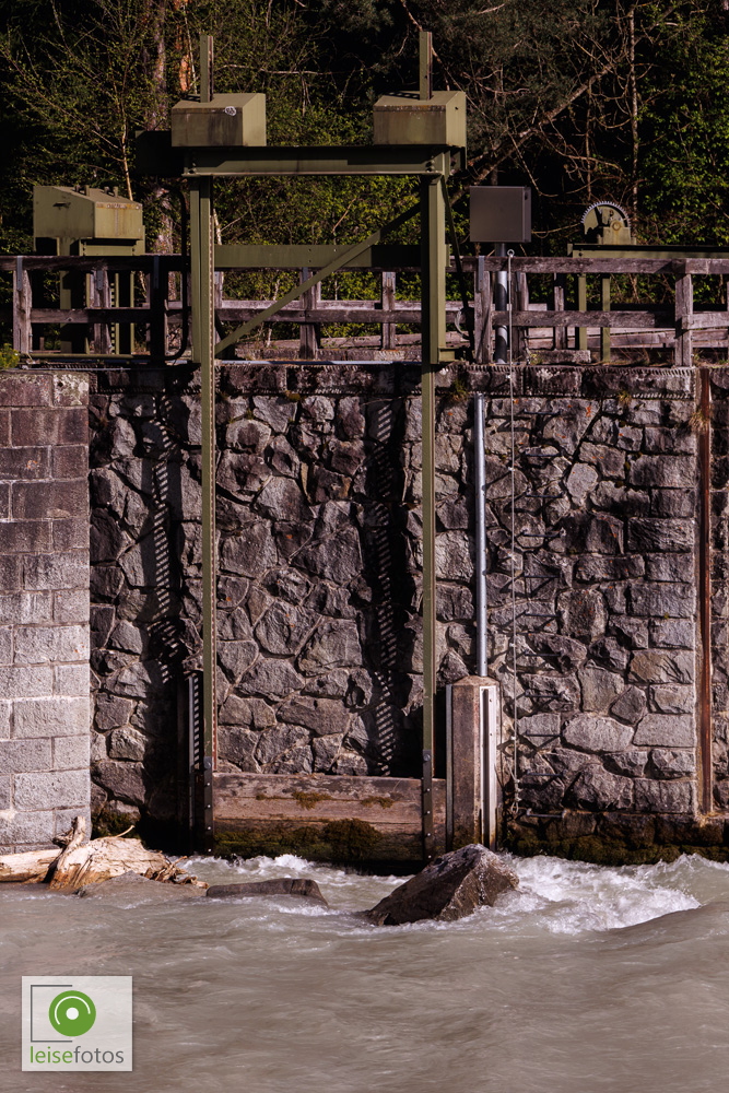 IMG_4440.jpg