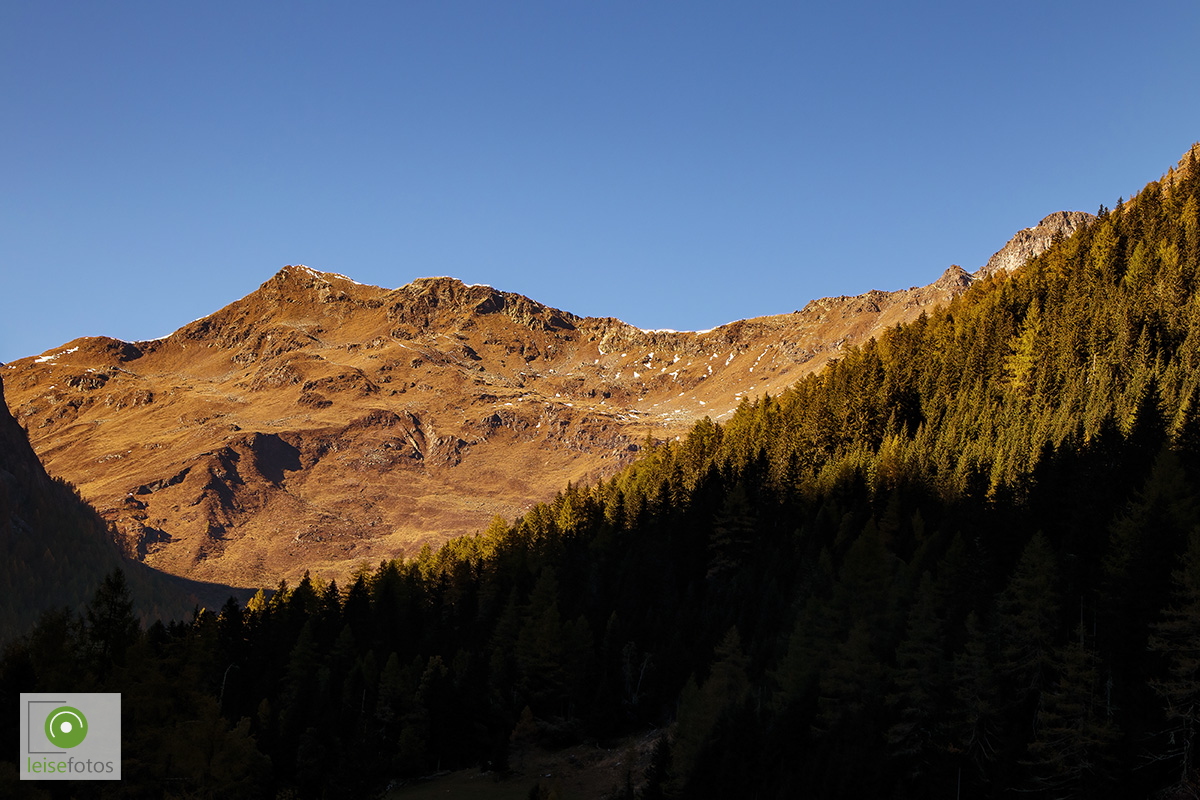 IMG_5567.jpg