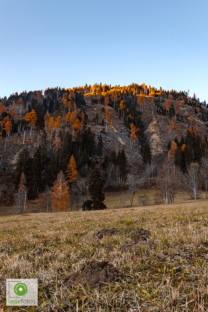 IMG_6631.jpg