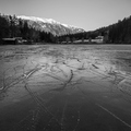 IMG_2897.jpg