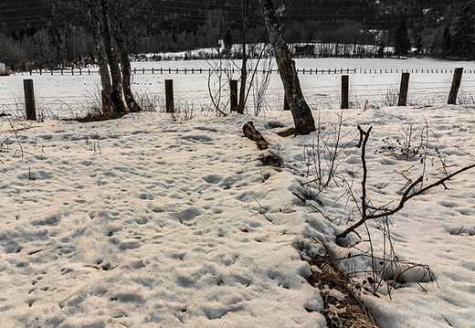 Winterstille in Osttirol, Glanz