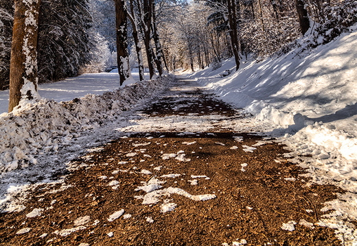 Winterpracht am Poetensteig, Lienz