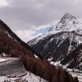 IMG_8935.jpg