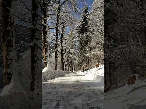 6953 Verschneiter Pfad in Lienz