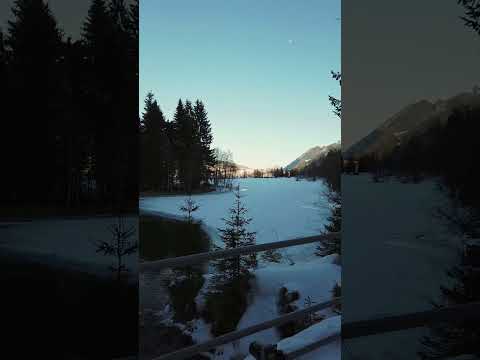 7772 - Spiegelung im winterlichen Speichersee