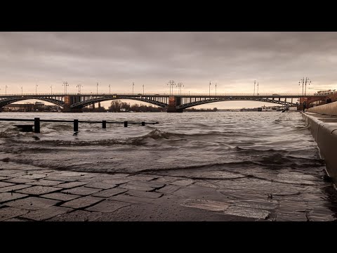 2733 - Hochwasser am Mainzer Rheinufer
